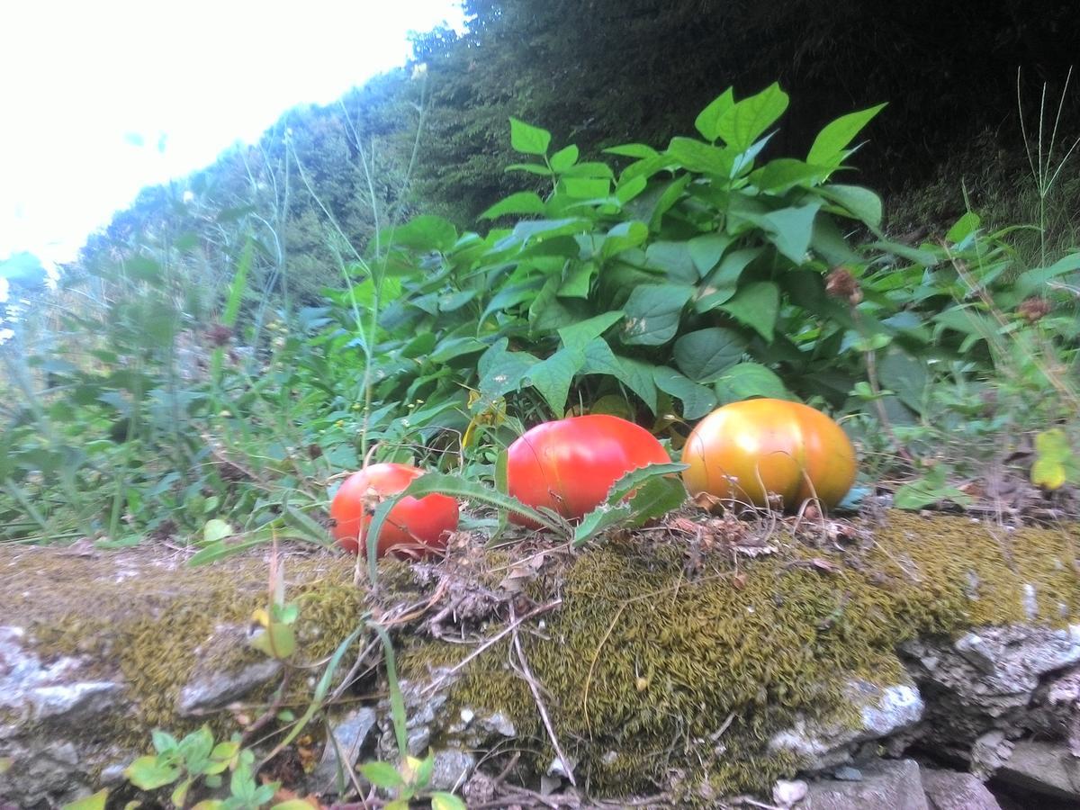 A Pastaiola Cetara Exterior foto